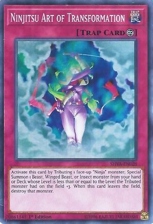 Ninjitsu Art of Transformation (SHVA-EN028) - Shadows in Valhalla 1st Edition