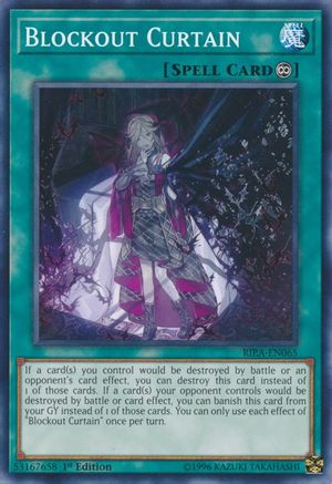 Blockout Curtain (RIRA-EN065) - Rising Rampage Unlimited