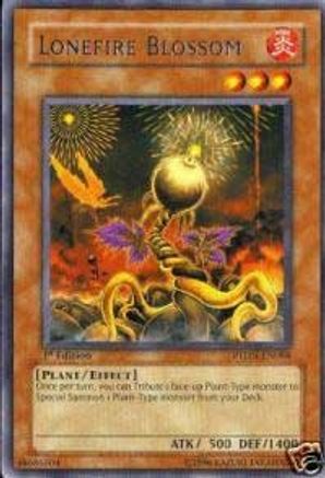 Lonefire Blossom (PTDN-EN088) - Phantom Darkness 1st Edition