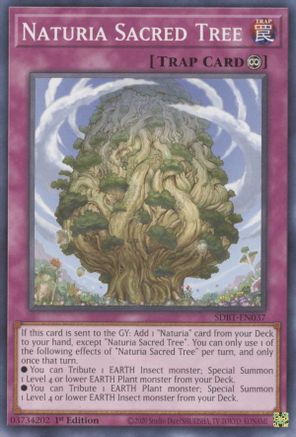 Naturia Sacred Tree (SDBT-EN037) - Structure Deck: Beware of Traptrix 1st Edition