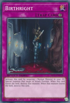 Birthright (SBC1-ENG18) - Speed Duel: Streets of Battle City 1st Edition