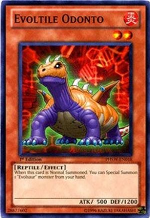 Evoltile Odonto (PHSW-EN018) - Photon Shockwave Unlimited