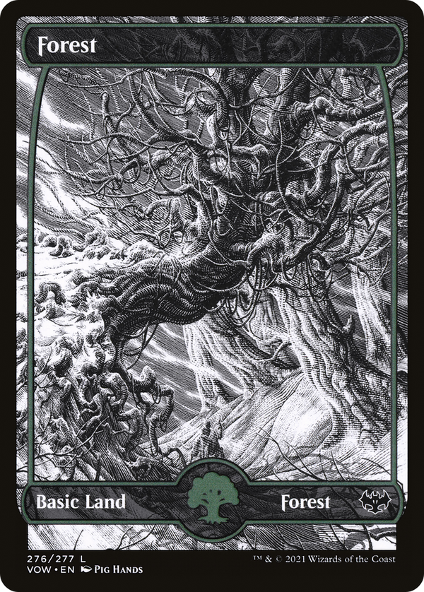 Forest (276) (VOW-276) - Innistrad: Crimson Vow: (Showcase)