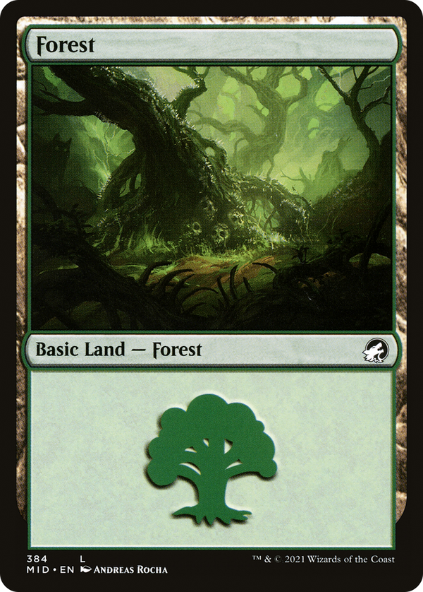 Forest (384) (MID-384) - Innistrad: Midnight Hunt