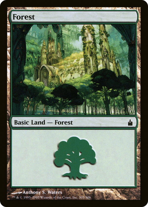 Forest (305) (RAV-305) - Ravnica: City of Guilds Foil